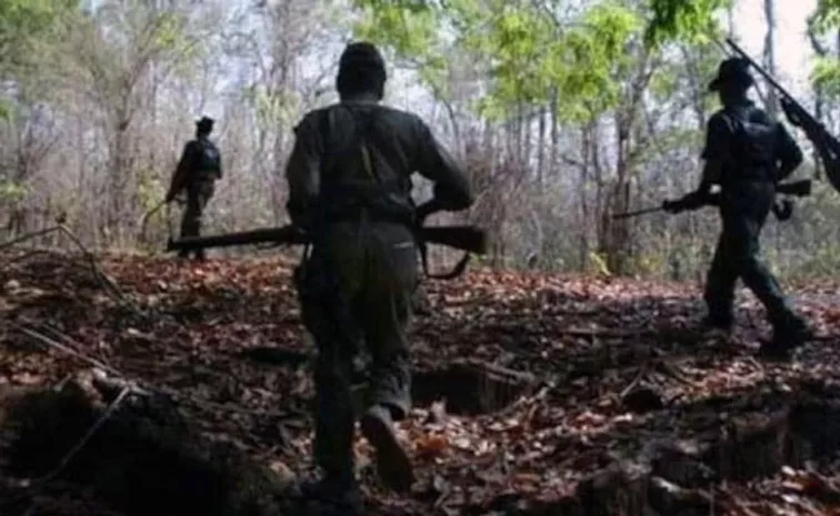 Security forces kill five Maoists in Jharkhand 