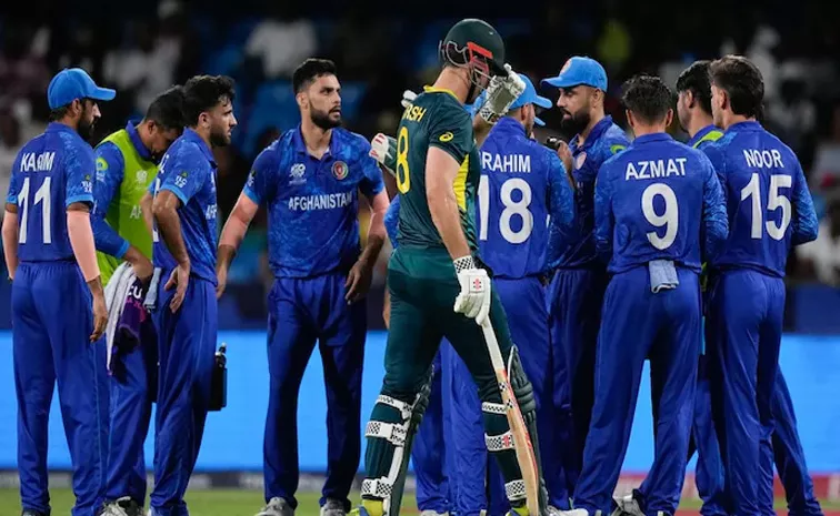 T20 World Cup 2024: If Australia Loose To India And Afghanistan Beat Bangladesh, Afghanistan Will Reach Into Semis