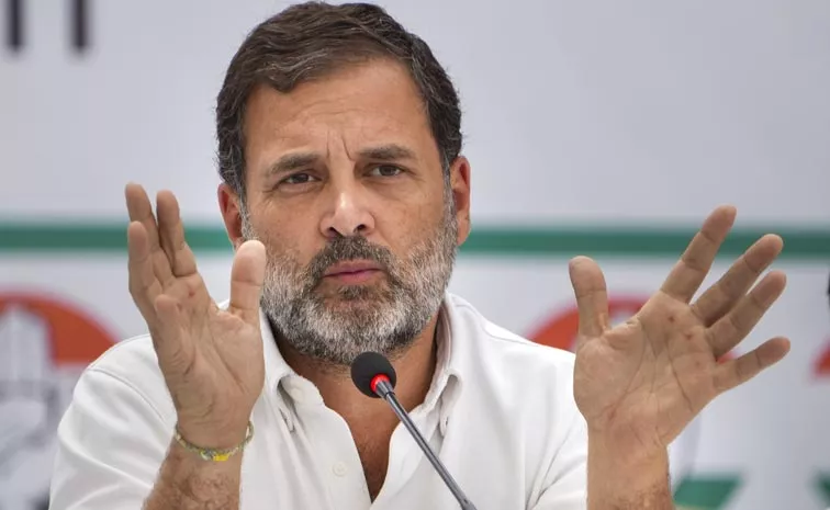 rahul gandhi reacts on lok sabha speaker and deputy speaker choice