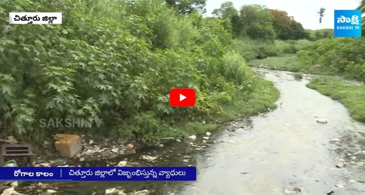 Seasonal Diseases Spread in Chittoor District