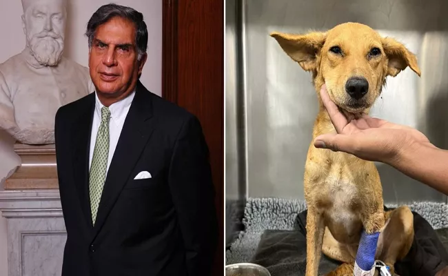Ratan Tata makes an appeal to the people to find a blood donor for ailing dog