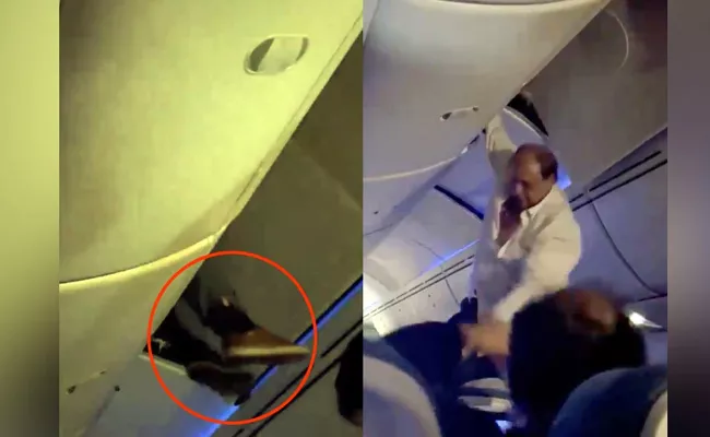 Video: Turbulence on Spanish flight throws man into overhead bin 30 injured