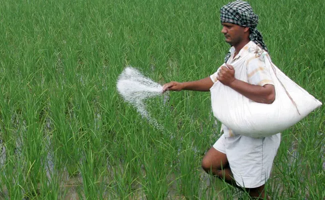 Govt provides nearly Rs 37,000 crore in fertiliser subsidies this fiscal