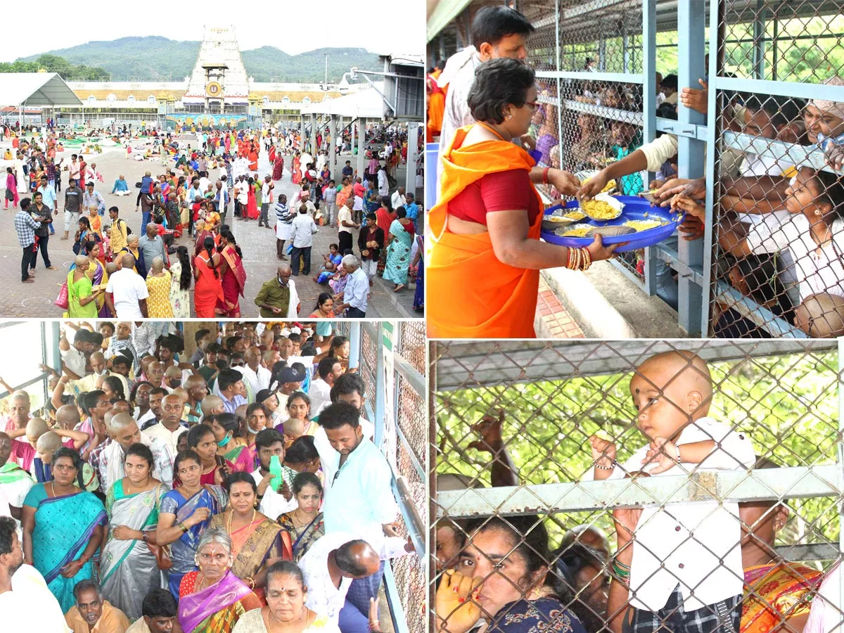 Huge Rush at Tirumala Temple Photos - Sakshi