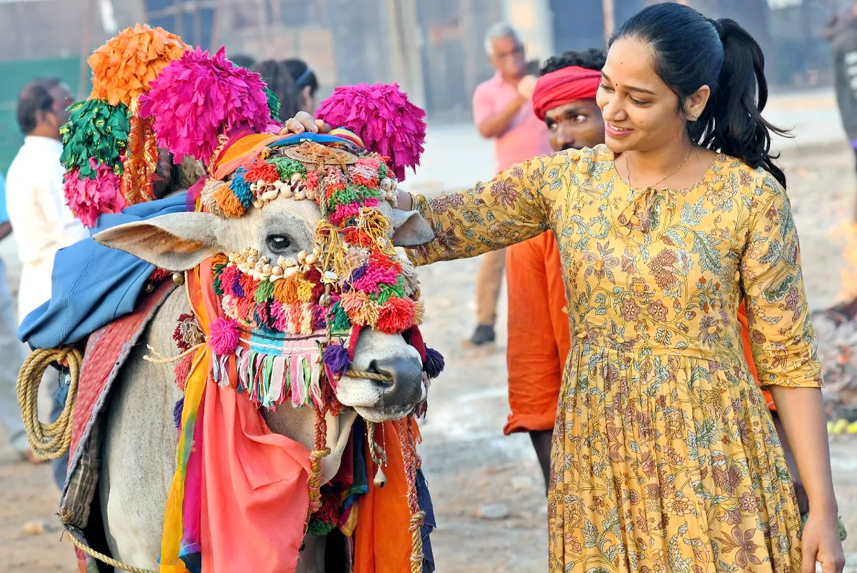 Bhogi Festival Celebrations In Vijayawada - Sakshi